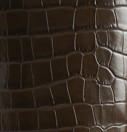 Chocolate Croc